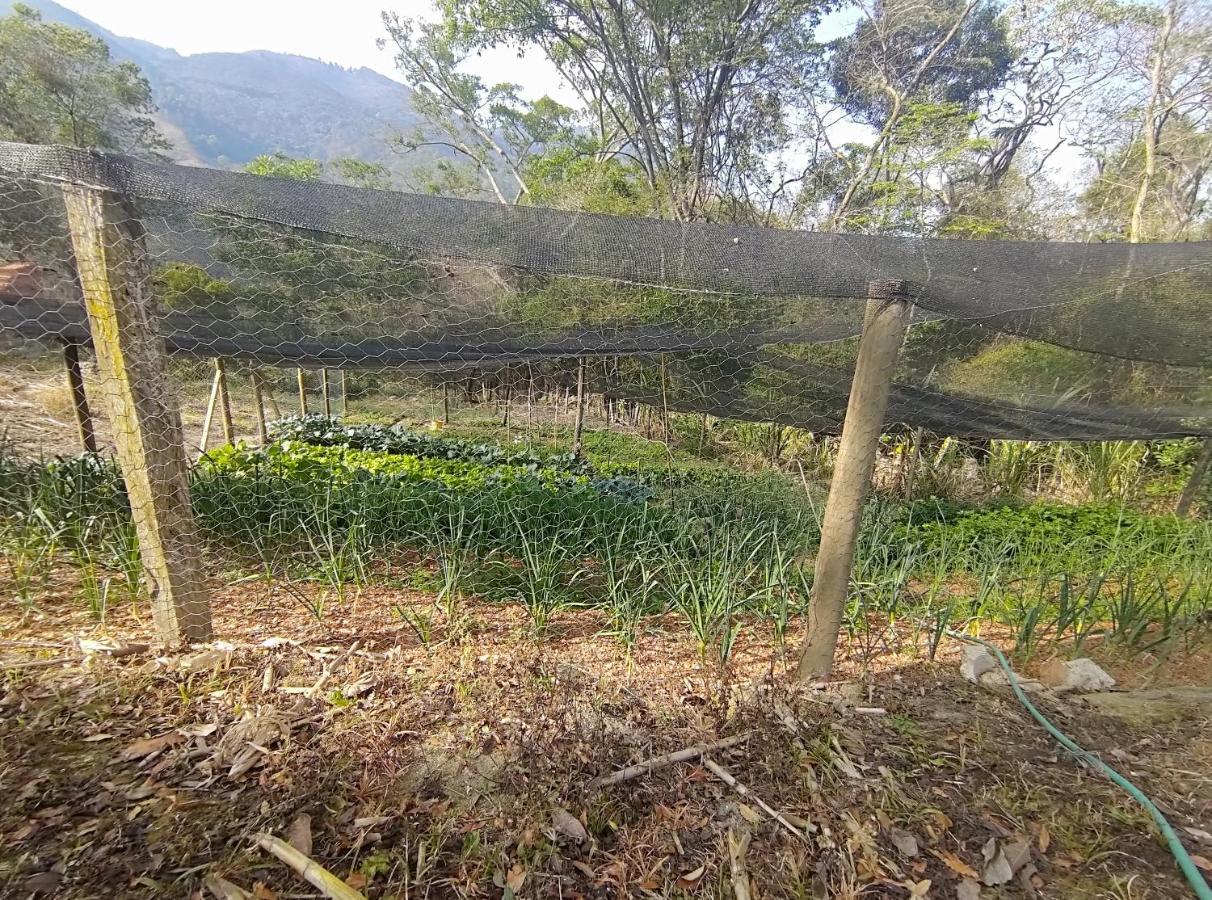 Solar Dos Canarios Sao Bento do Sapucai Luaran gambar